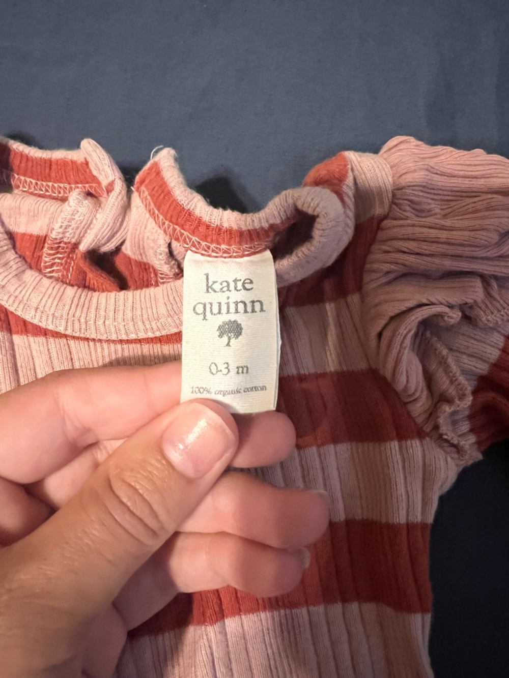 Striped Ruffle Sleeve One-Piece - Picture 2 of 3